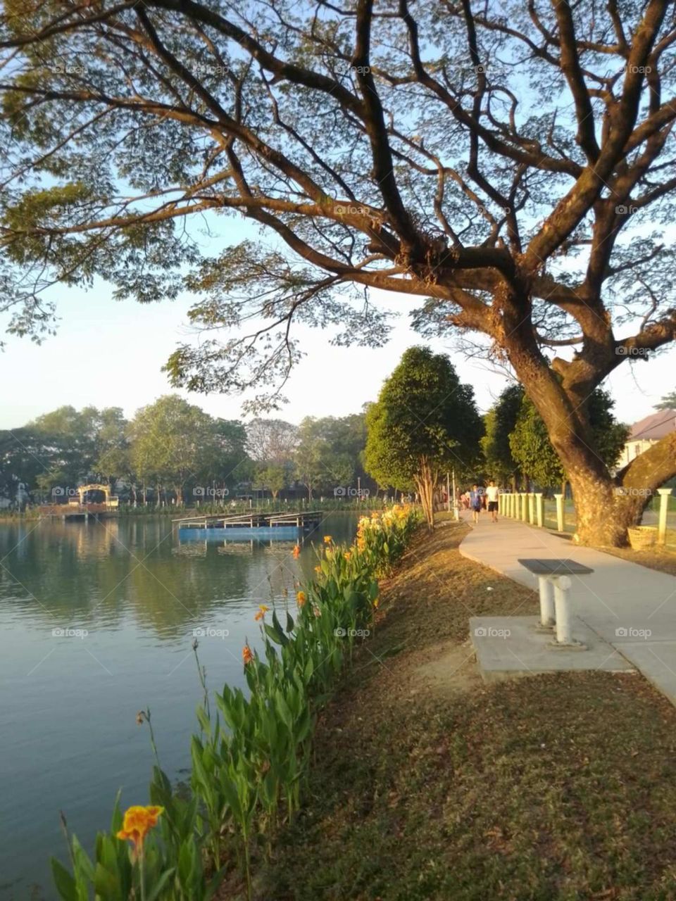 Morning walk at the lake side