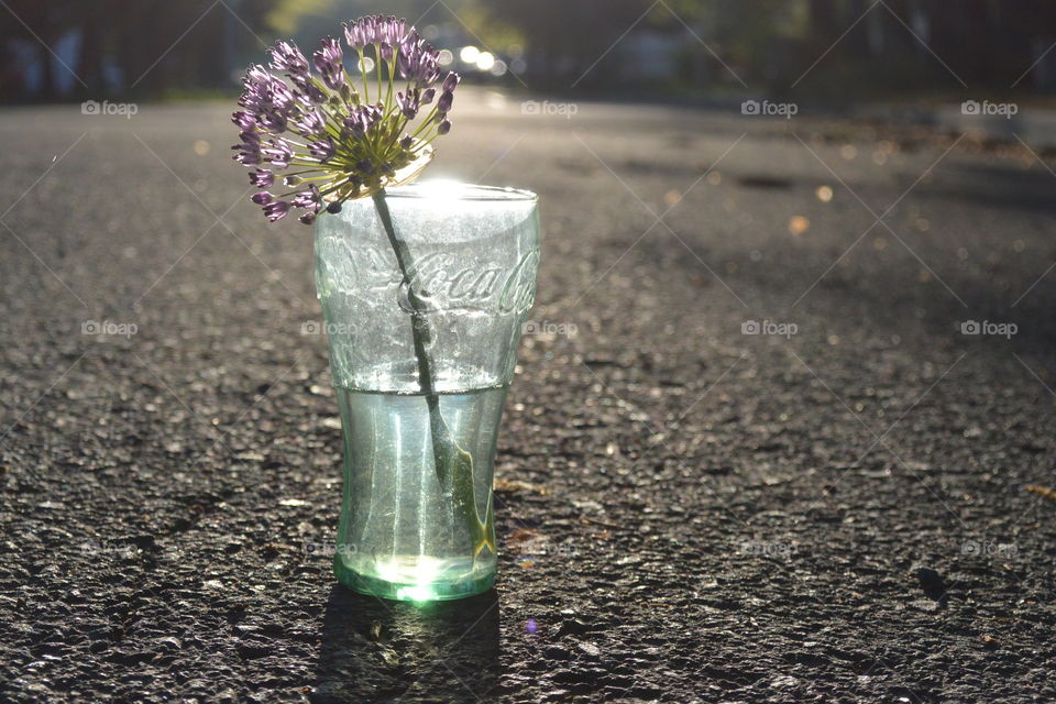 Firework Flower