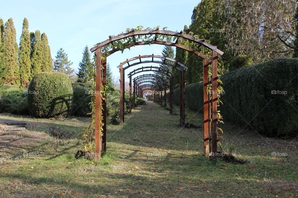 wooden arches in the park with plants and trees