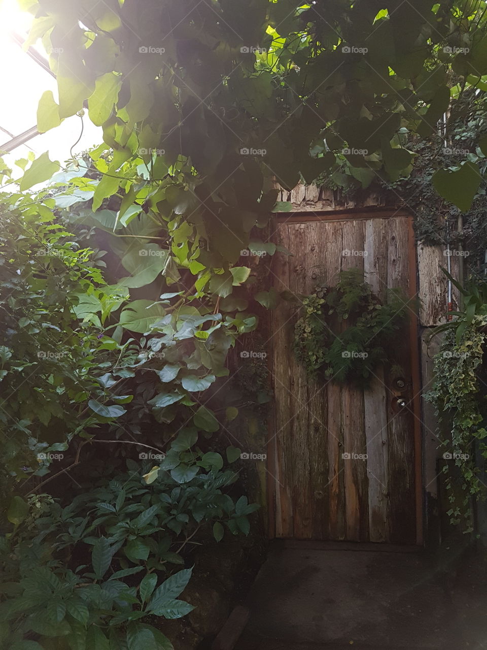 Magical doorway