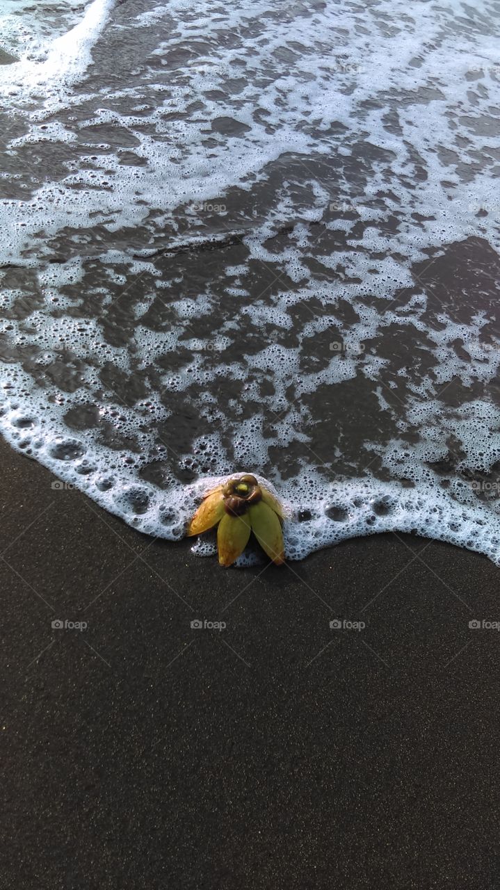 High angle view of surf on beach
