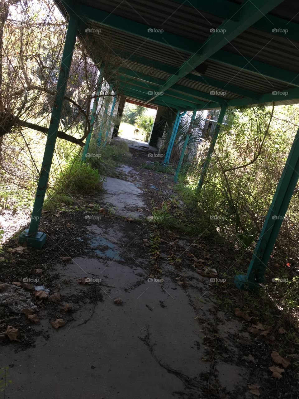 Abandoned Robert Hungerford Prep School