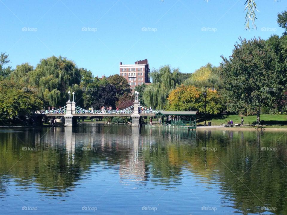 Public Garden reflections