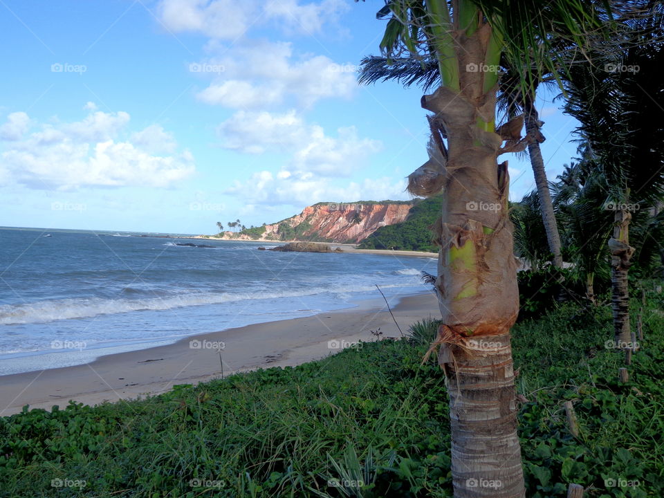 beautiful beach of Paraíba. Tabatinga