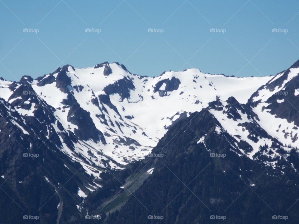 Olympic National Park