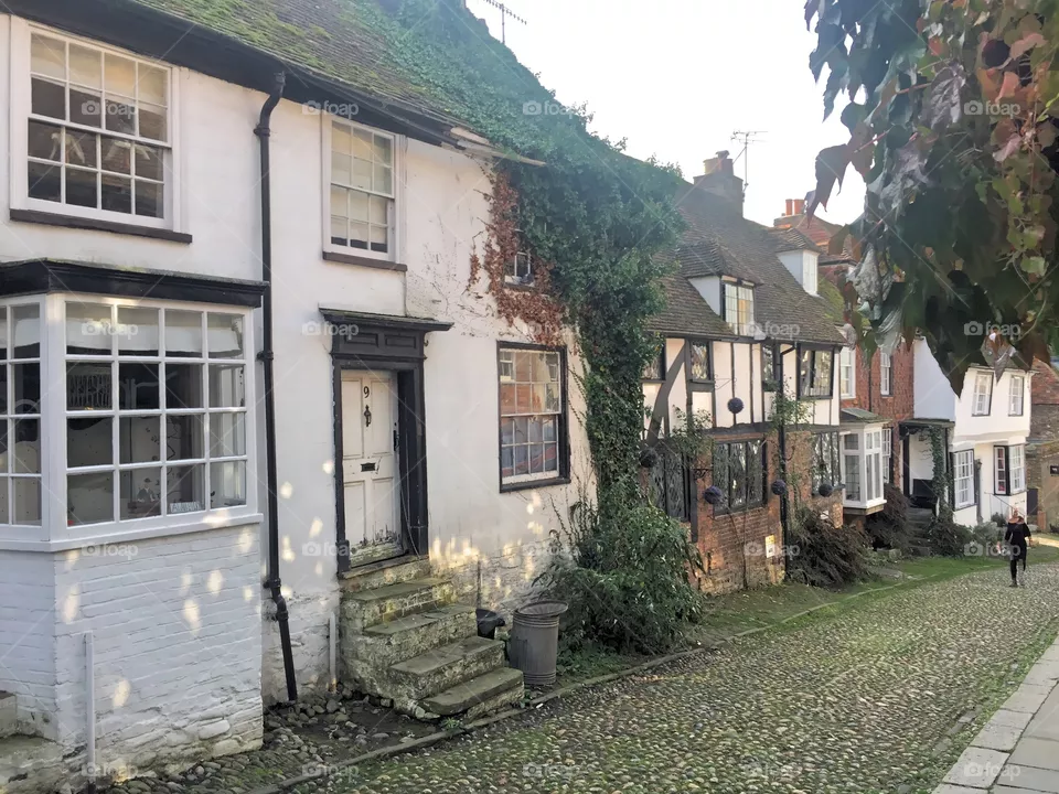 Rye houses 