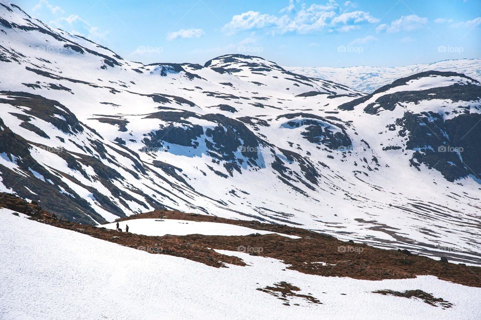 Landscape photo of mountains 