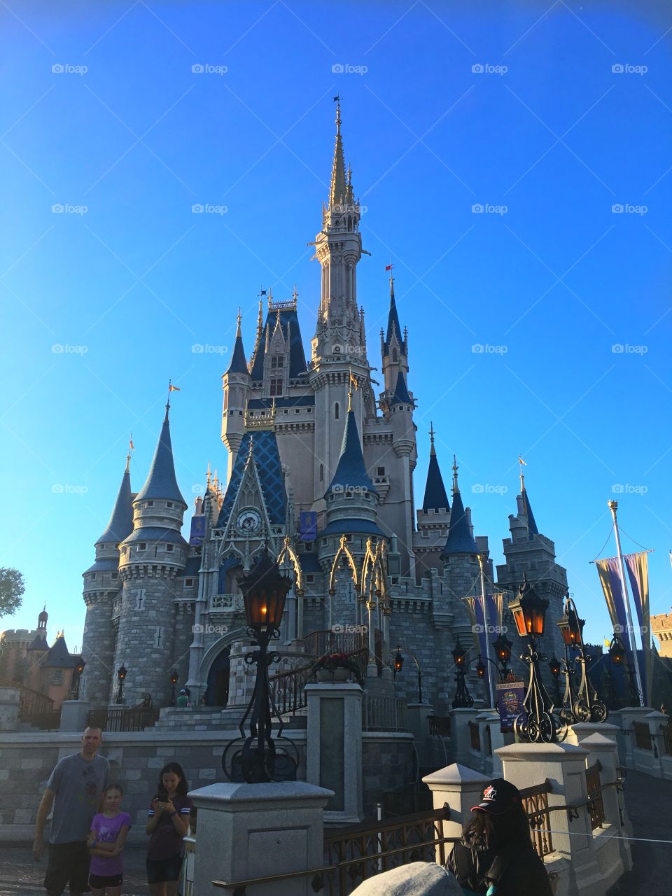 Disney World Castle 💖
