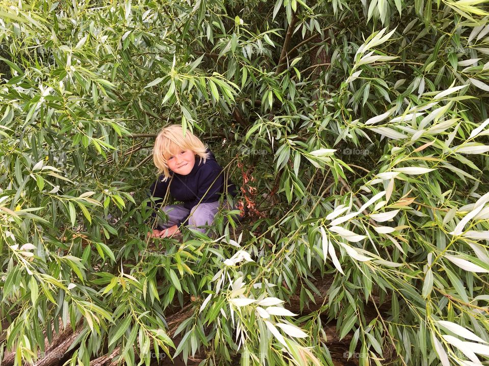 Child in a tree