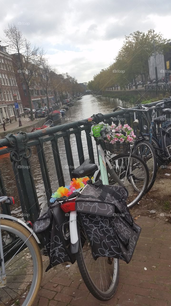 a colorful  bike in the streets of amsterdam