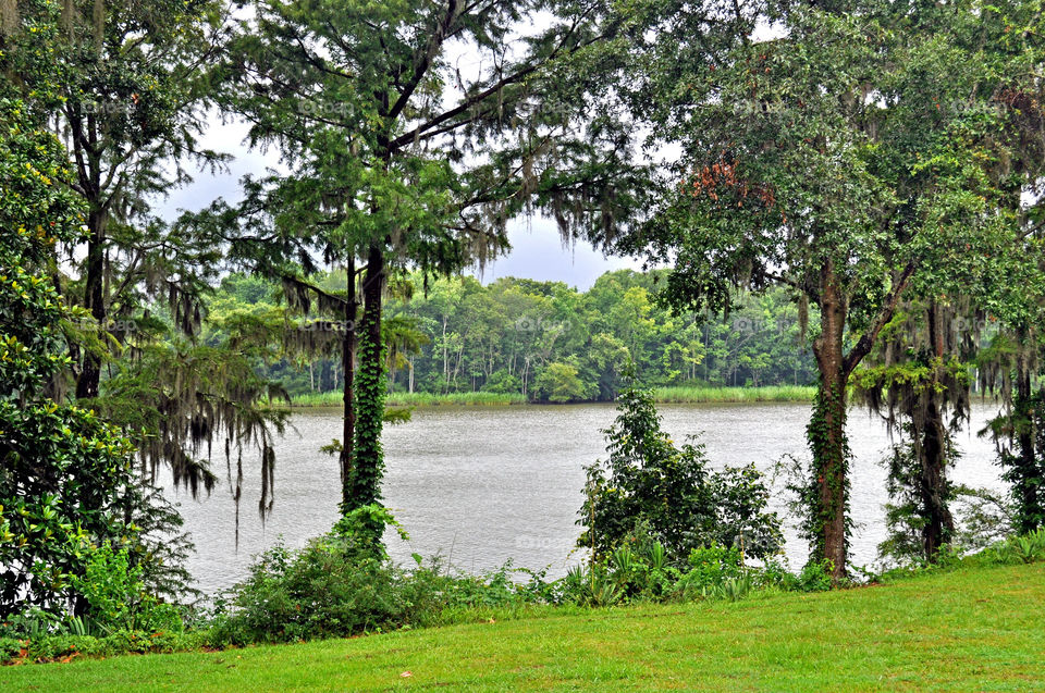 georgetown south carolina river plantation by refocusphoto