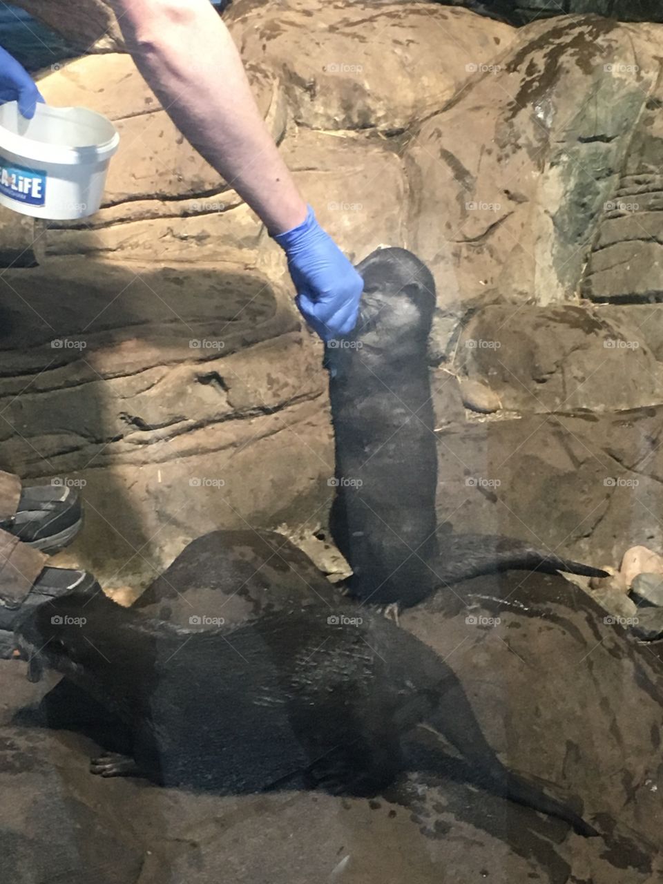 People, One, Adult, Water, Rock