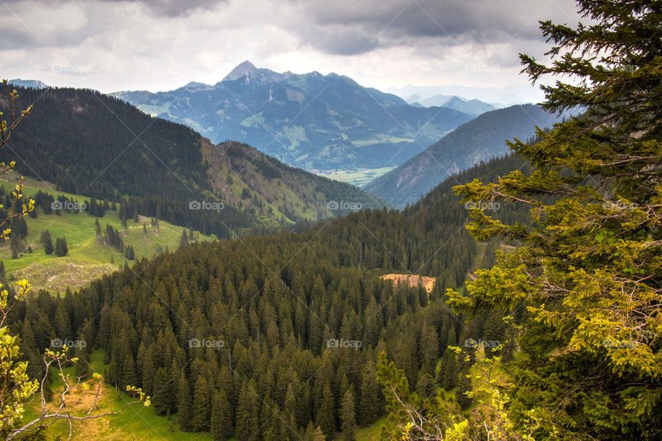 View of the German alps 