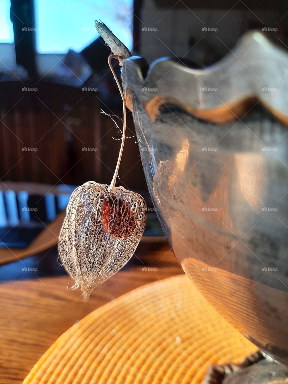 dry physalis fruit and metal bowl