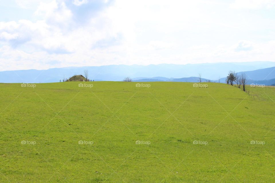 A view of a green meadow and mountains on the horizon.  Spring landscape