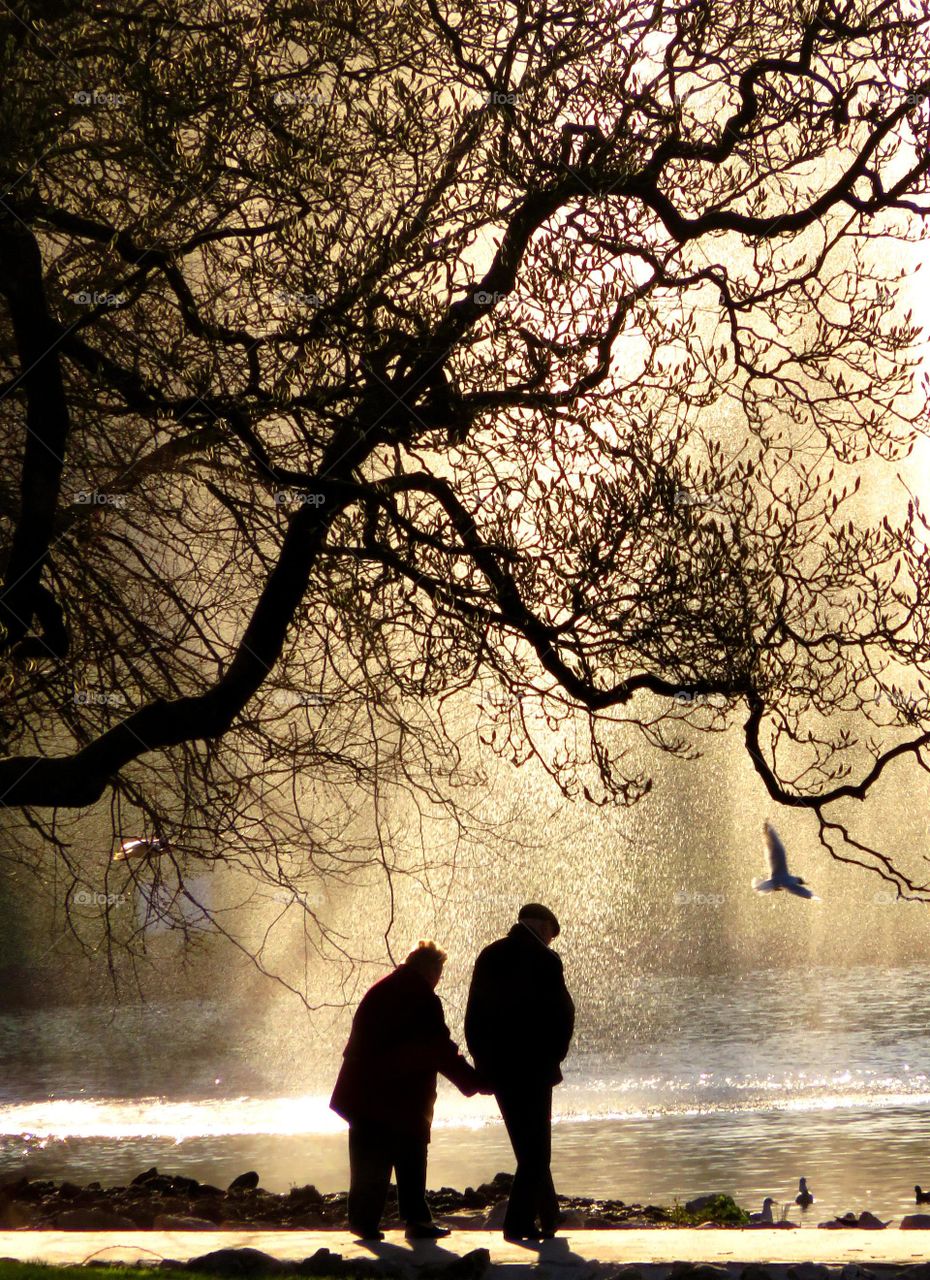 Old couple walking in park
