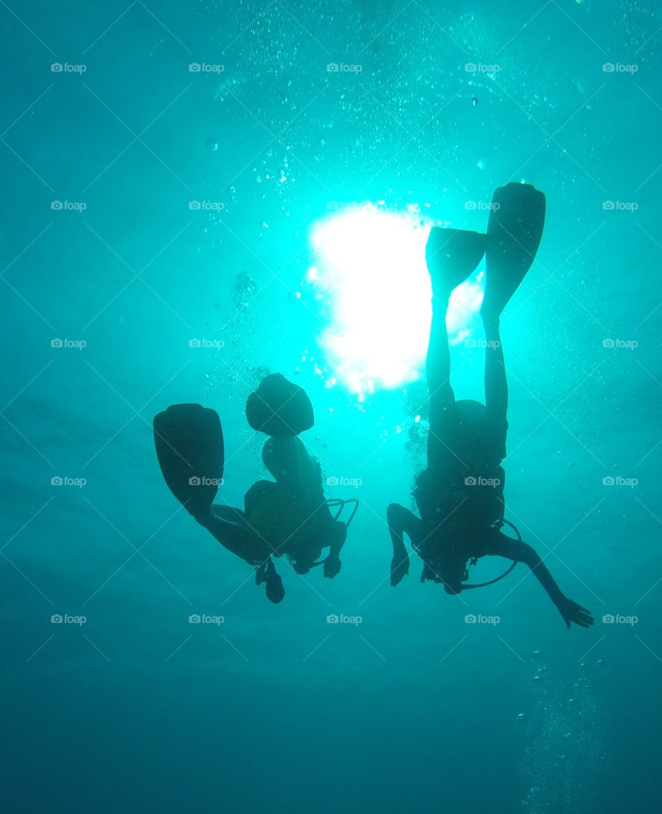 Divers under the Sun