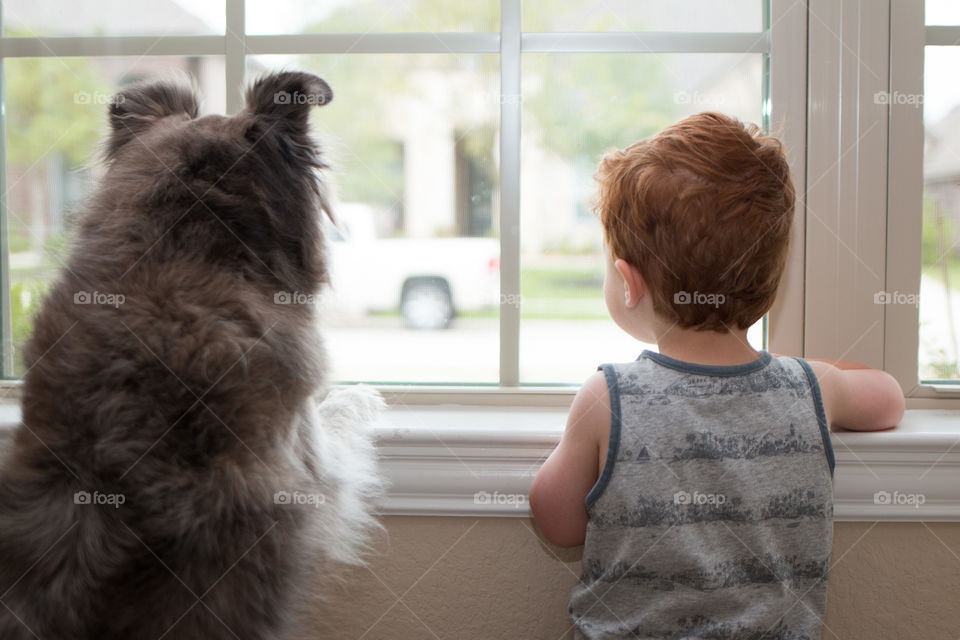 Dog and her boy