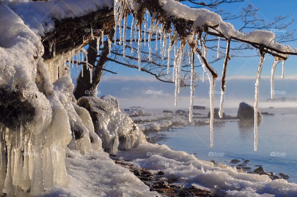 A winter day in Sweden