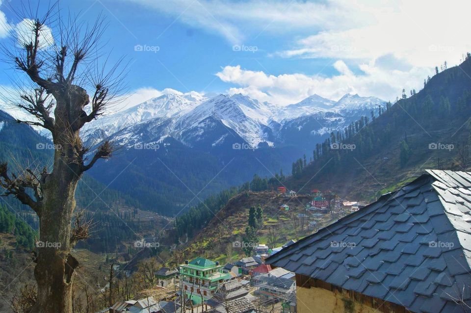 Tosh, Himachal Pradesh -
Tosh village is in Himachal Pradesh state of India. It is located at about 2,400 metres ( 7,900 ft) in elevation on a hill near Kasol in the Parvati Valley.