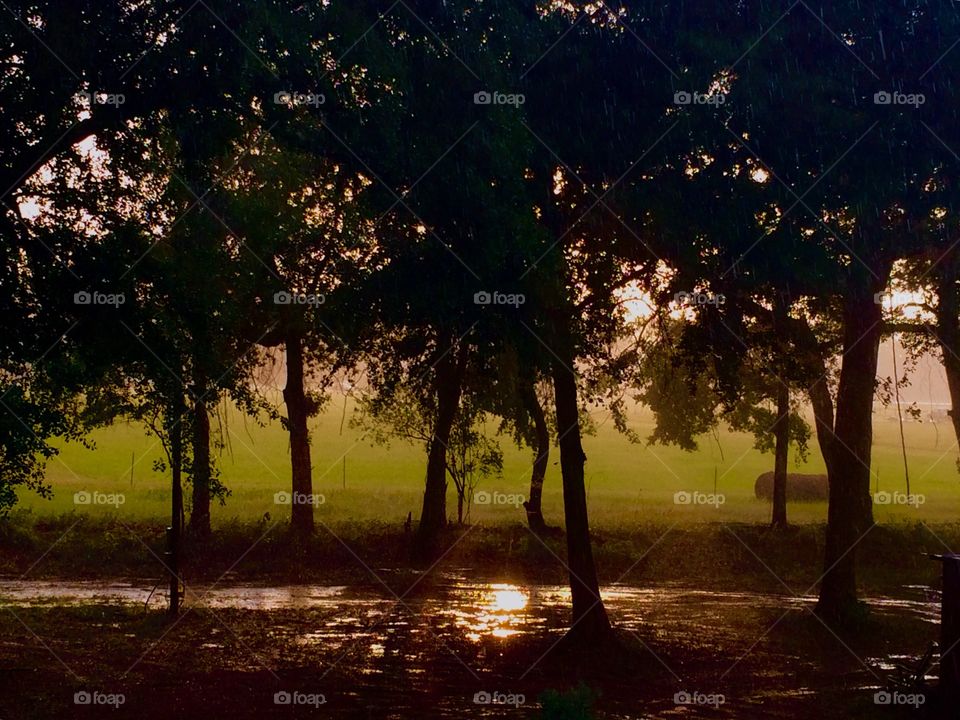 Suns reflection in puddle 