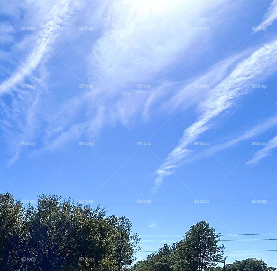 Treetop Wisps