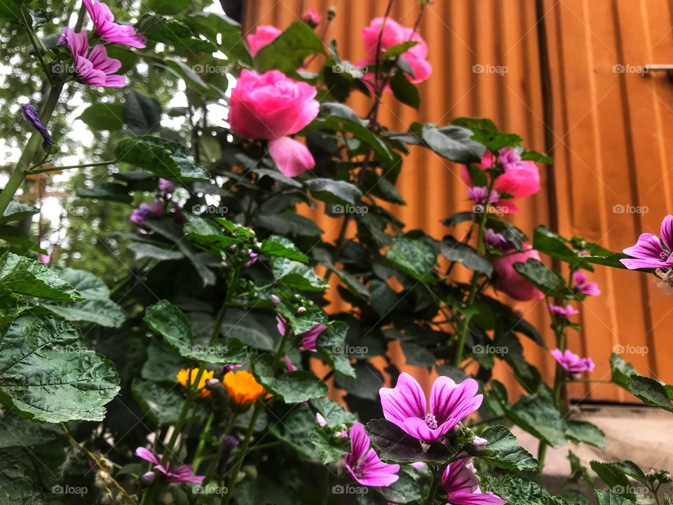 Adding colors in life!!