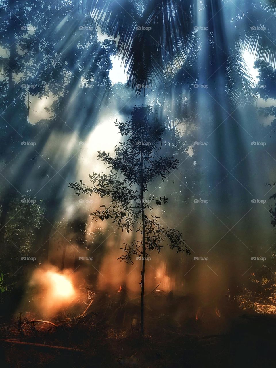 The Best Photo in Sri Lanka.

Alone Last Time