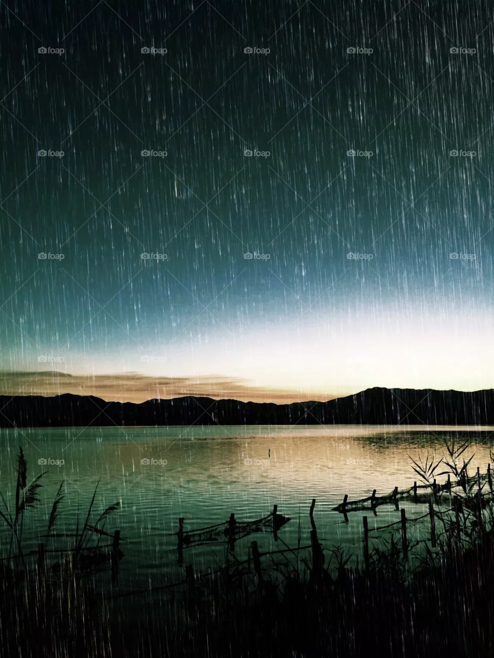 Rain