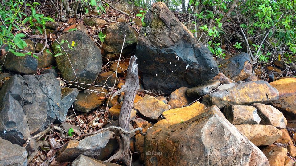 Rochas e vegetais, minérios. Pedras, cores, madeiras, carvão, ferrugens, metais. Matas, rios, ilhas. Fenômenos da natureza. Belezas de nosso planeta.