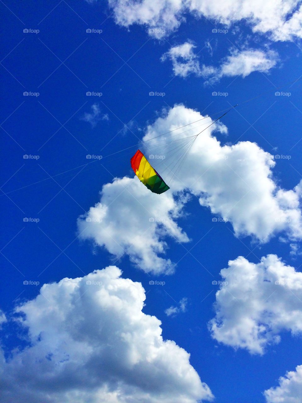 Summer in Portland maine