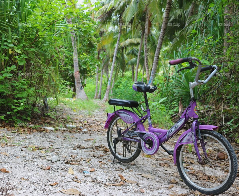 environment friendly