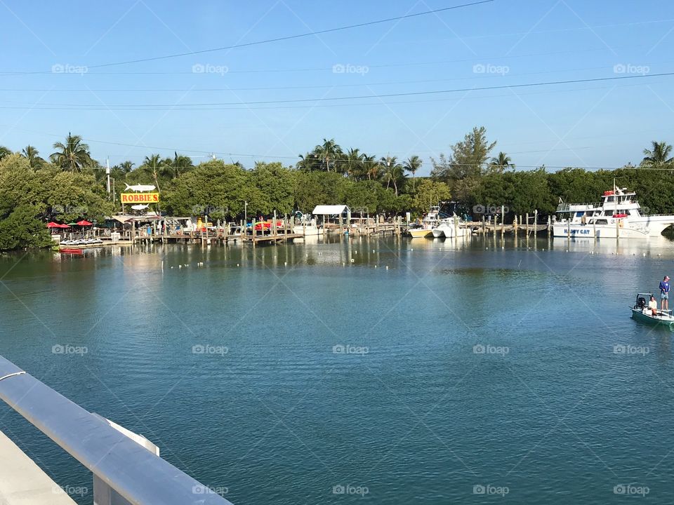 Robbie's Marina in Islamorada Florida Keys 