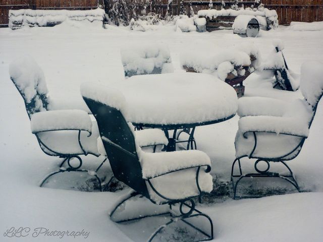 Picnic Anyone?