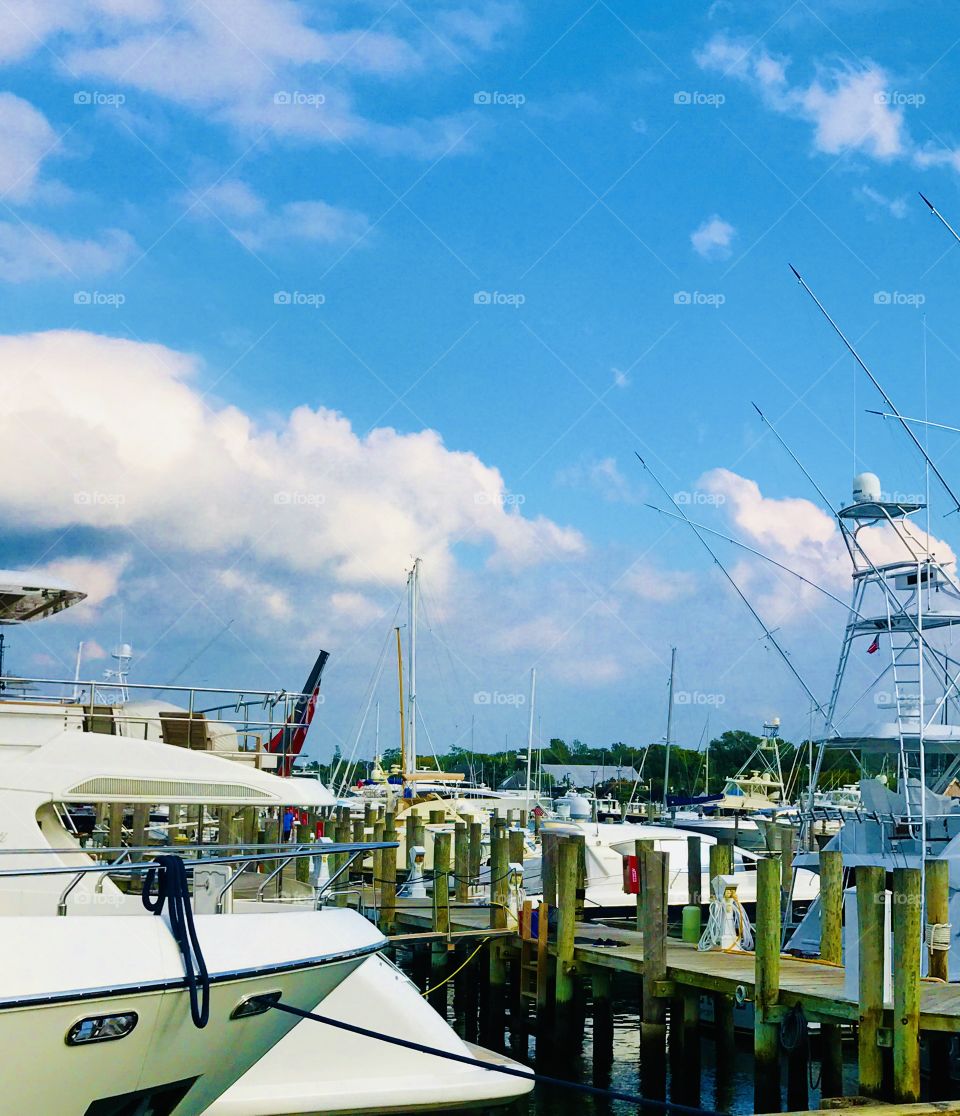 The Marina in Sag Harbor 