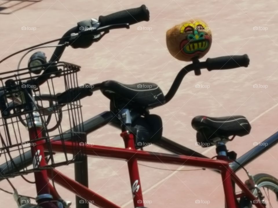 Double Bike with coconut cup