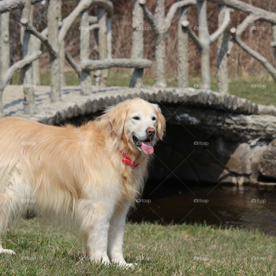 A spring day at the park
