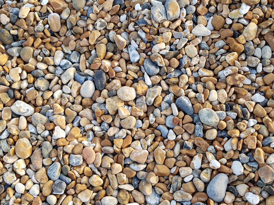 Close-up of pebble