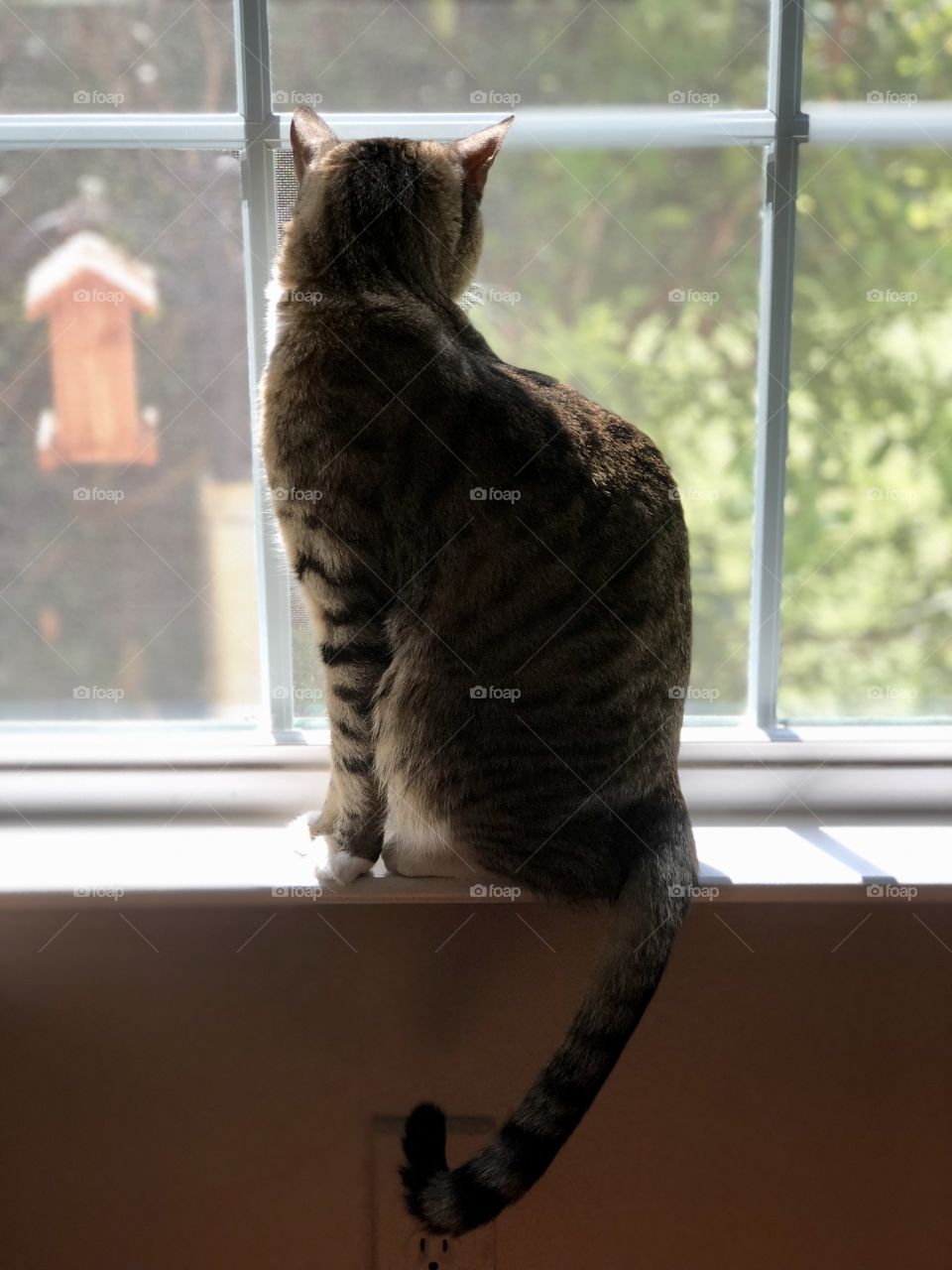 The wonders of the outdoors