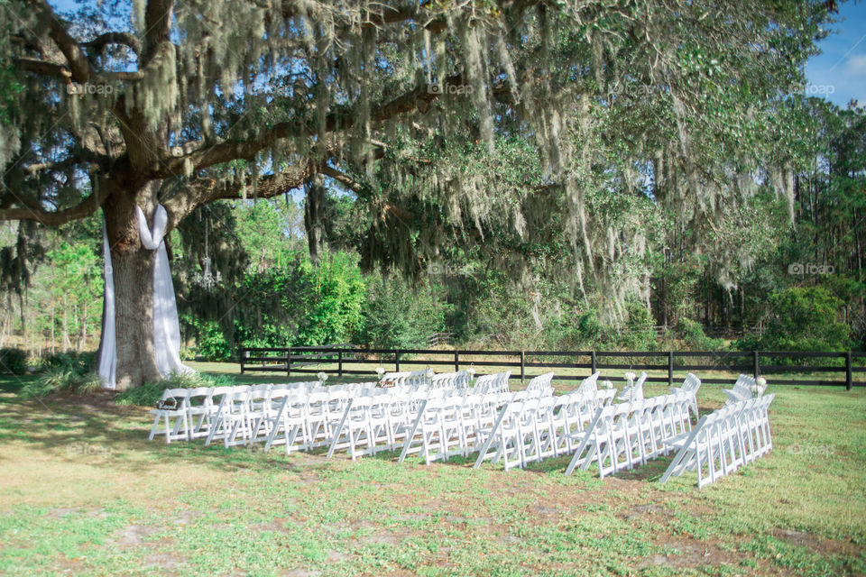 Outdoor wedding ceremony under tree