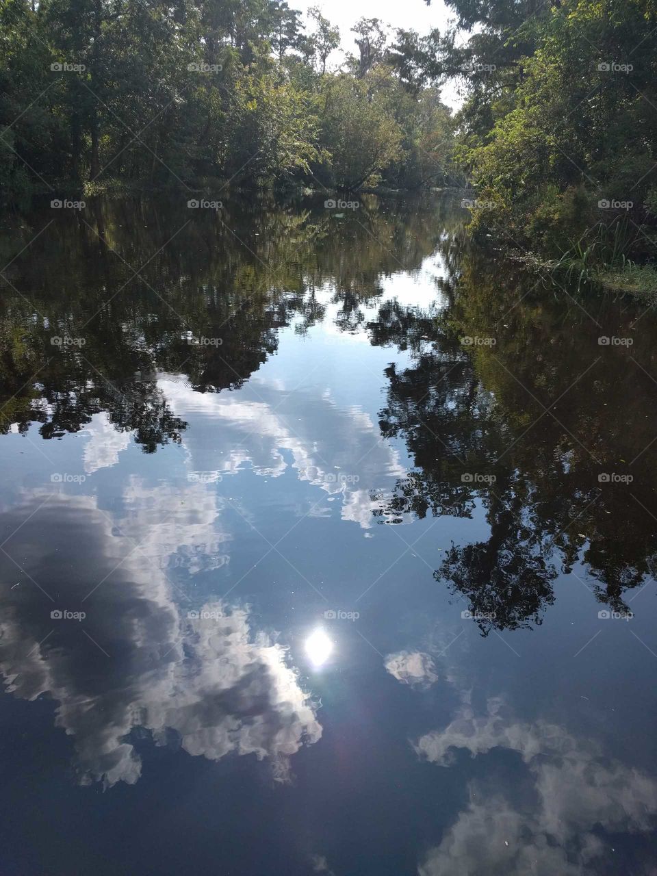 Louisiana sky in the bayou