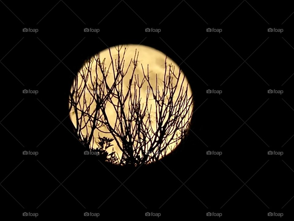 Blue Moon Halloween Tulsa OK 10/31/2020