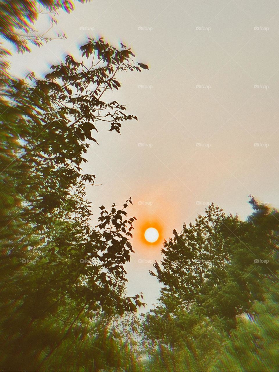 The Red Sun