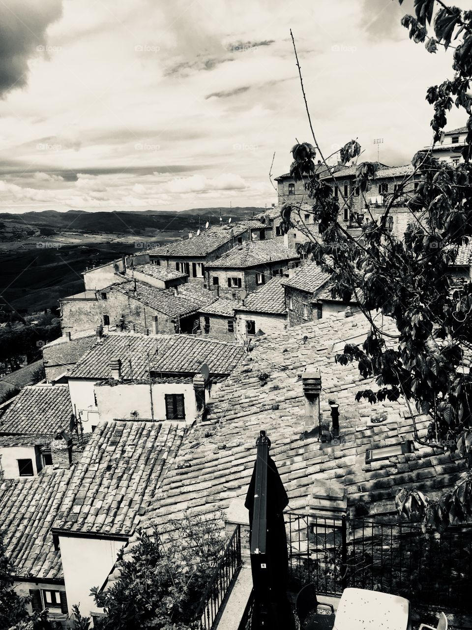 Volterra 