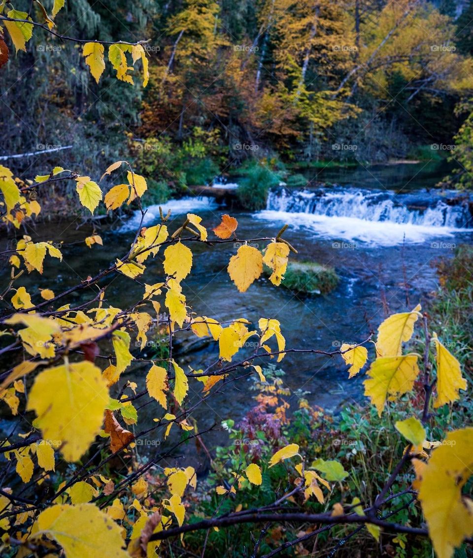 Creek in Fall Color