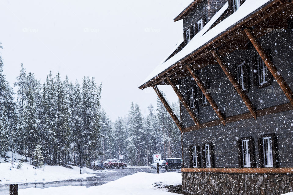 Winter, Snow, Cold, No Person, Wood