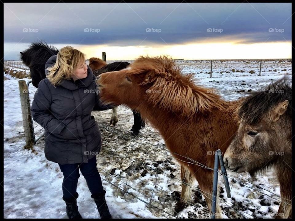 Woman with Icelandic horse. Pony. Snow. 