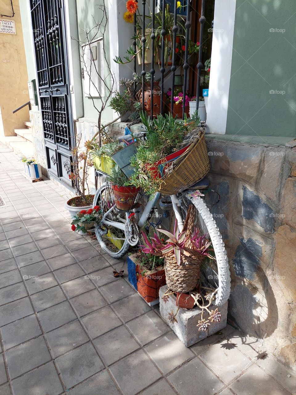bike with flowers and plants
