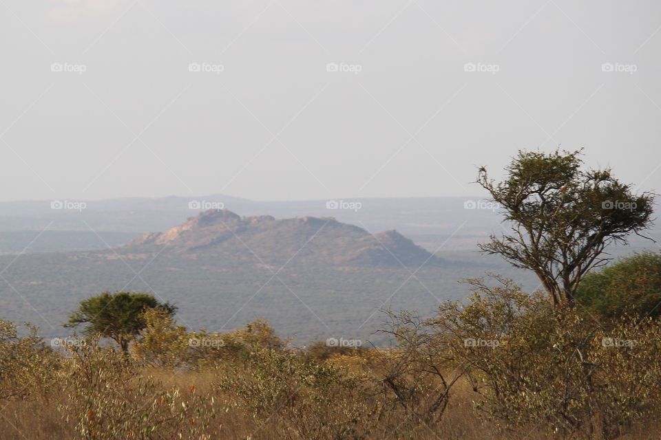 Landscape, African savannah.