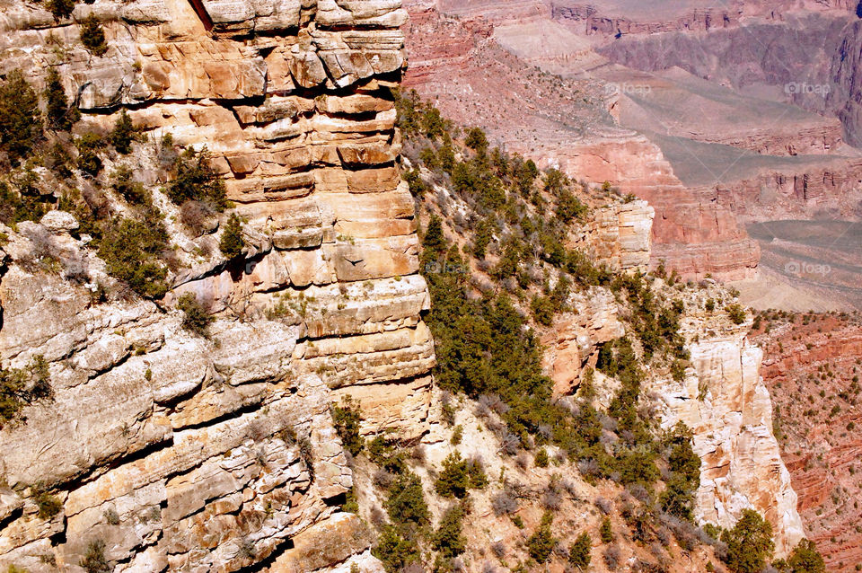 arizona flora rocks boulder by refocusphoto